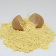 Сухой ферментированный яичный желток фото