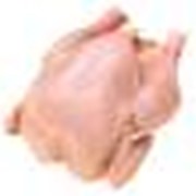 Мясо птицы куриное бройлеров продам в черкасской области. фото