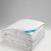 Одеяло NATURAL пух-перо (195x215 см)Wake up фото