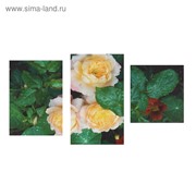 Картина модульная на подрамнике “Садовые розы“ 90х60 см (30х60, 30х40, 30х50) фото