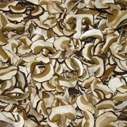 Сушеный гриб фото
