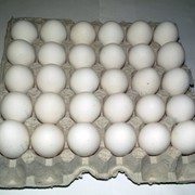 Яйцо куриное С1 лоток 30шт.