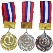 Медаль Sportex 2 место (d6 см, лента триколор в комплекте) F11742 фото