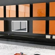 Мебель, гарнитуры, кухни, прихожие, модульная стенка Рита фото