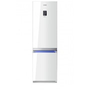 Холодильник Samsung RL55TTE1L1 фотография