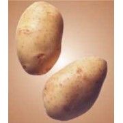 Удобрения азотно-фосфорные калийные для картофиля