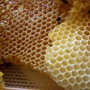 Экспертиза продуктов пчеловодства фото
