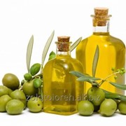 Греческое оливковое масло фото