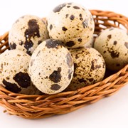 Яйца перепелиные пищевые
