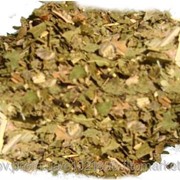 Грецкий орех (Juglans regia, folium Walnut) листья 100 грамм фото