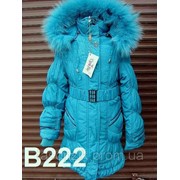 Зимние Пальто Код: В222, Пальто и полупальто женские фото