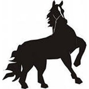 Продажа лошадей Владимирской породы (тяжеловоз) фото