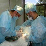 Амбулаторная хирургия фотография