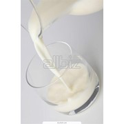 Продам сырое молоко крупный опт, свое от 30 т в день фото