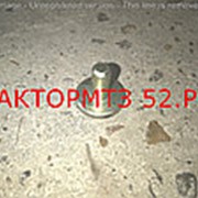 Сухарь на корзину МТЗ-1221 Д-260 фотография