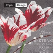 Салфетки Декоративные столовые Paper & Design Цветочный шедевр 3-х слойные 33х33см, 20шт фото