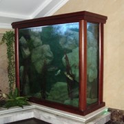 VIP аквариум фото