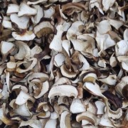 Сухие (сушеные) белые грибы фото