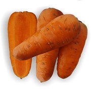 Семена моркови ШАНТАНЕ РЭД КОР, семена, семена моркови, семена купить, купить в Украине, семена Украина, купить, цена, фото фото