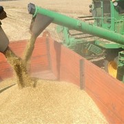 Экспорт зерновых фотография