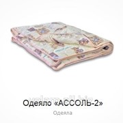 Одеяло Ассоль-2 205х140