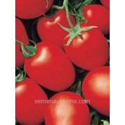 Семена томата Яки F1 (самый урожайный) 25 000 с фотография
