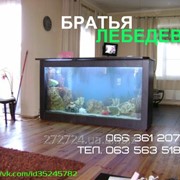 Обслуживание аквариумов от 150 грн. фото