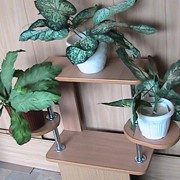 Подставка для цветов ПЦ фото