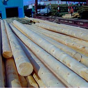 Опора деревянная пропитанная L - 6,5 м