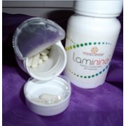 Ламинин (Laminine) Компания LPGN