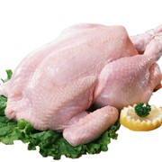 Тушка цыпленка-бройлера охлажденная фото