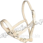 Недоуздок сыромятный двойной прош. фото