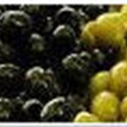 Оливки и маслины оптом фото