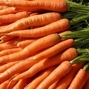 Морковь, Морковь купить в Луцке фото