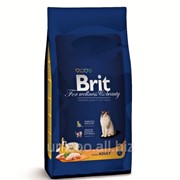 Сухой корм для кошек Brit Premium Cat Adult Chicken 0,3 кг фото