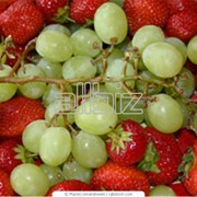 Пюре плодово-ягодное фотография