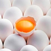 Яйцо белое С2 фото