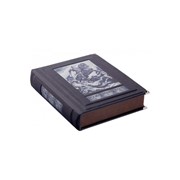 Книга Best Gift Ш. Руставели. Витязь в тигровой шкуре фото