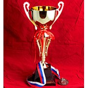 Кубок металлический “Эвертон“ 41см фото