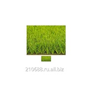 Искусственная трава 40мм фотография