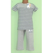 Пижама для мальчика (3-11) Арт 9052 серый фото