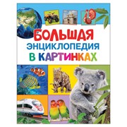 Большая энциклопедия в картинках, Котятова Н.И., 27861 фото