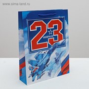Пакет ламинированный вертикальный «23 февраля!», L 40 × 31 × 9 см