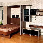 Мебель для гостиной Зебрано фото