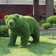 Топиар фигура “Медведь“ фотография