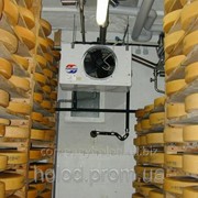 Холодильная камера для дозревания и хранения сыров