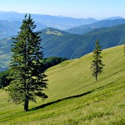 Тур в Карпаты на майские праздники фото