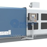 Заточное оборудование для дисковых пил ISELI фотография