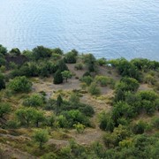 Участок 1.9 Га на Южном Берегу Крыма фото