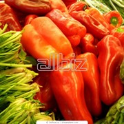 Товары разные фото